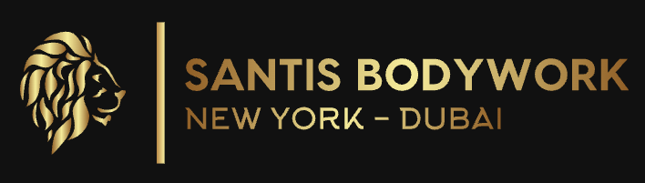 Logo Santis Body Work